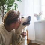 Hundelebensdauer entschlüsseln: Der ultimative Leitfaden zum Verständnis von 'Wie alt wird ein Hund