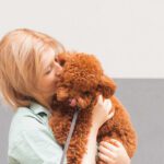 Tipps zur Hundepflege: So halten Sie Ihren Vierbeiner gesund und glücklich