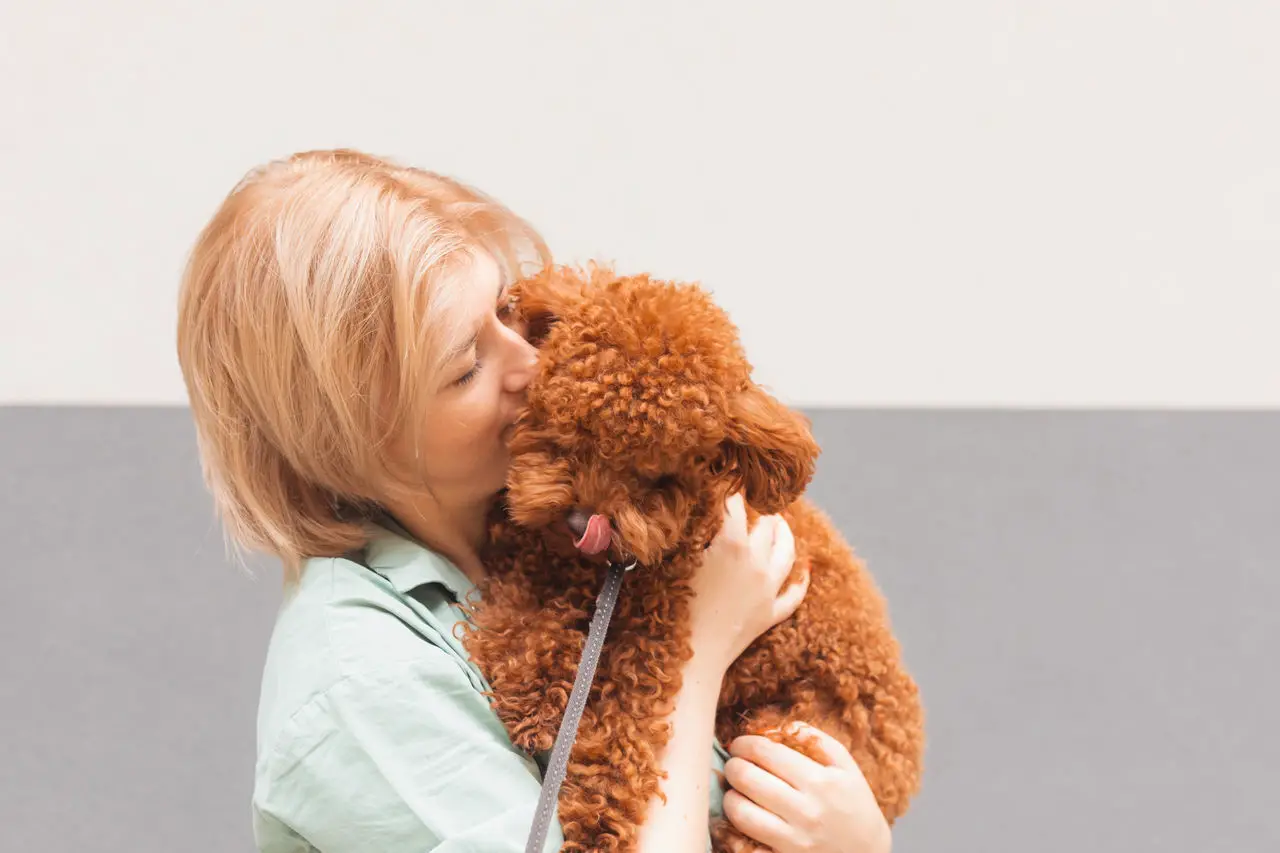 Tipps zur Hundepflege: So halten Sie Ihren Vierbeiner gesund und glücklich