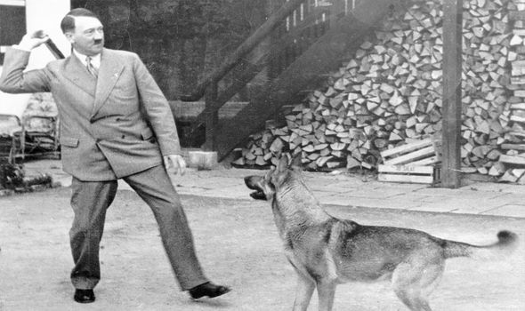 Hitlers Hund Blondi: Name, Bedeutung und Schicksal im Dritten Reich