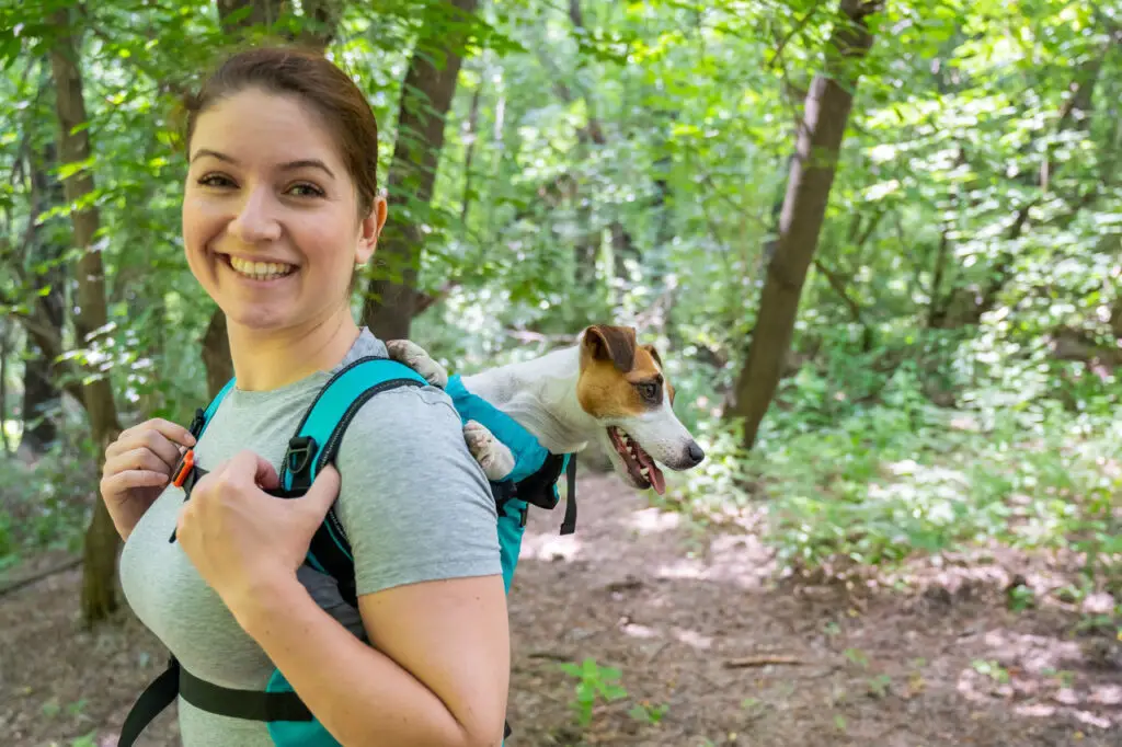 Hunderucksack: Finden Sie den perfekten Rucksack für Ihren Hund.